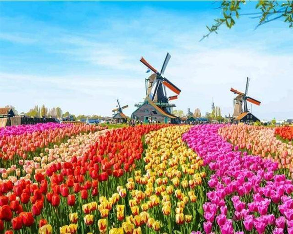 Dutch Windmill Flowers Paint By Numbers Kit