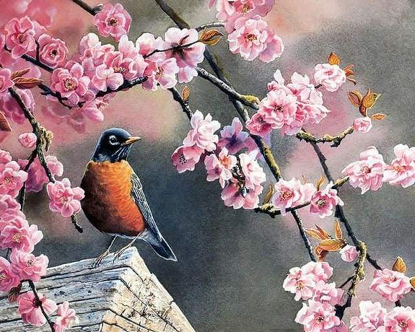 European Robin in Spring Paint By Numbers Kit
