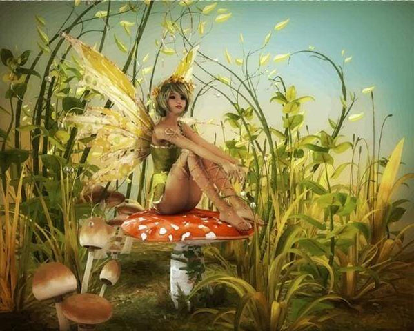 Fairy Mushrooms Paint By Numbers Kit
