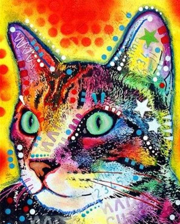 Fashion Cat Paint By Numbers Kit