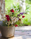 Flowerpot Paint By Numbers Kit