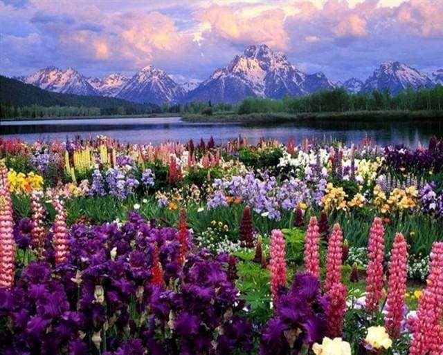 Flowers and Lake near the Mountain Paint By Numbers Kit