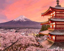 Fuji Cherry Blossoms in Spring Paint By Numbers Kit