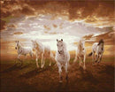 Galloping white Horses Paint By Numbers Kit