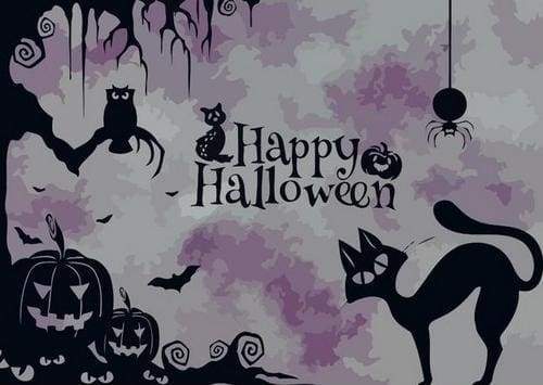 Halloween and Bats Paint By Numbers Kit