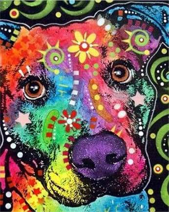 Head Dog Star Paint By Numbers Kit