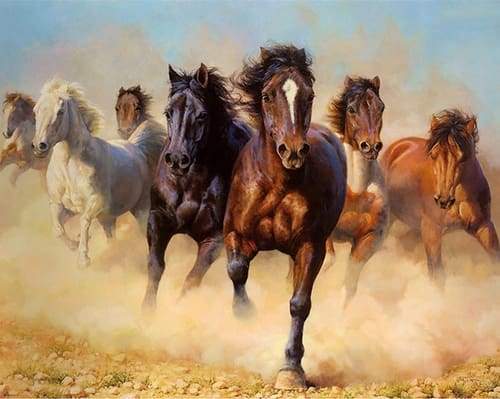 Herd of Horses Paint By Numbers Kit
