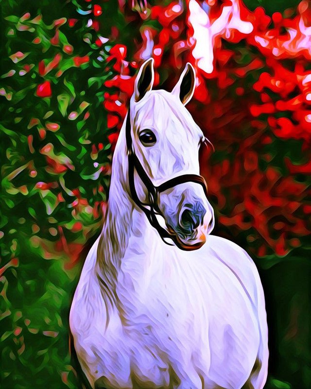 Horse and colorful background Paint By Numbers Kit