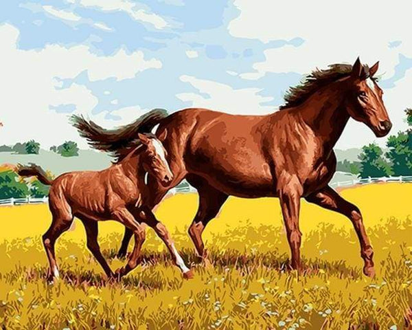 Horse and Foal in the field Paint By Numbers Kit