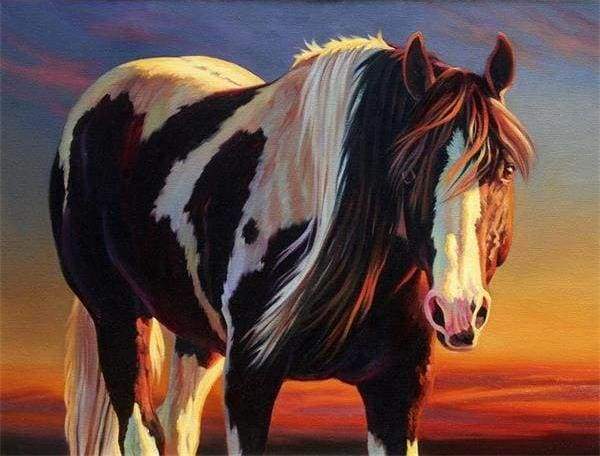 Horse Black And White Paint By Numbers Kit