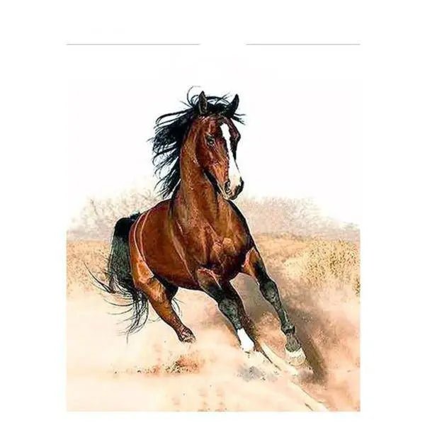Horse Paint By Numbers Kit