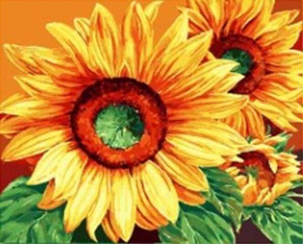 Large Sunflowers Paint By Numbers Kit