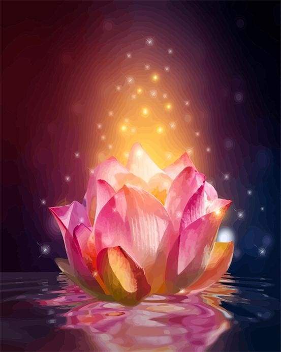Light Floating Lotus Paint By Numbers Kit