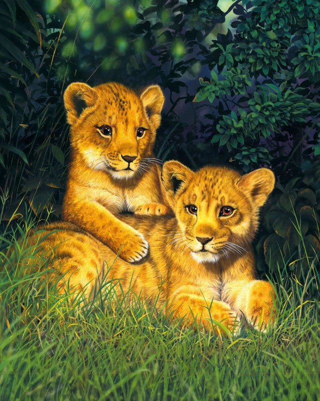 Lion cubs Paint By Numbers Kit
