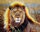 Lion in the savannah Paint By Numbers Kit