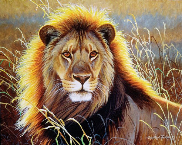 Lion in the savannah Paint By Numbers Kit