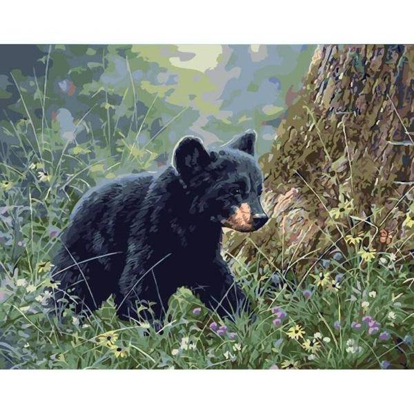 Little Bear Paint By Numbers Kit