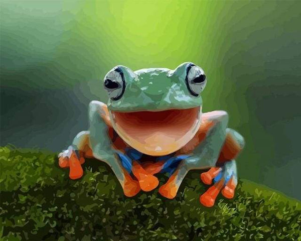 Little Frog Paint By Numbers Kit