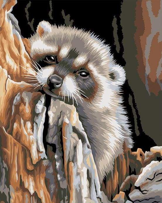 Little Raccoon Paint By Numbers Kit
