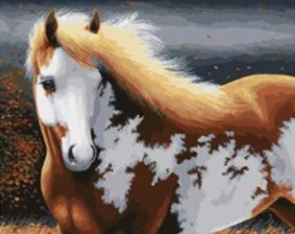 Magic Horse Paint By Numbers Kit