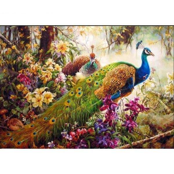 Majestic Peacock Paint By Numbers Kit