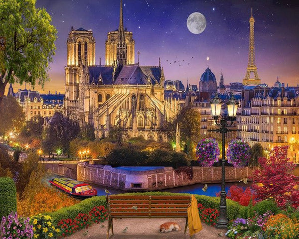 Notre-Dame and Eiffel Tower at night Paint By Numbers Kit