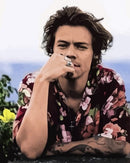 One Direction Harry Styles Paint By Numbers Kit