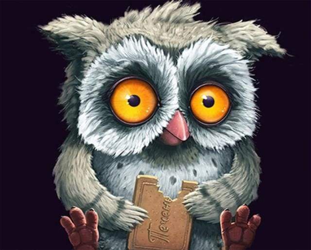 Owl with a cookie Paint By Numbers Kit