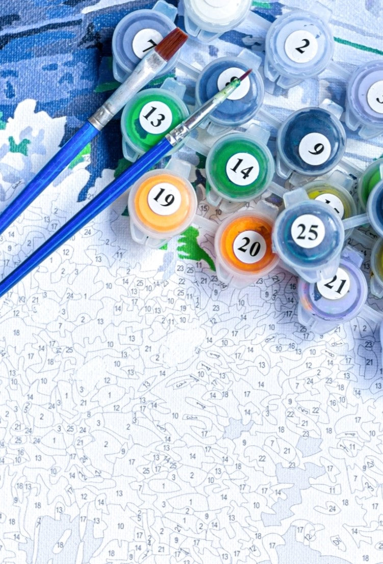 Paint by Numbers Kits for Adults and Kids - Paint with Number®