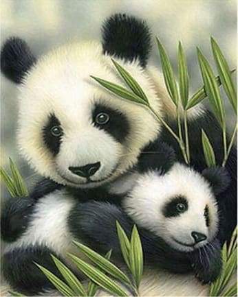 Panda Couple Paint By Numbers Kit