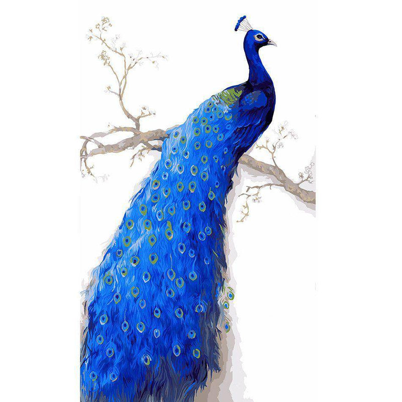 Peacock Paint By Numbers Kit