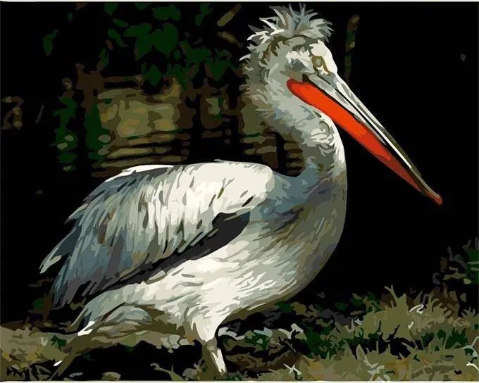 Pelican Bird Paint By Numbers Kit