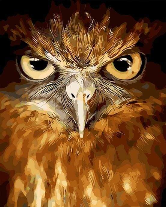 Piercing eyes Hawk Paint By Numbers Kit