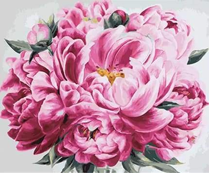 Pink Peony Paint By Numbers Kit