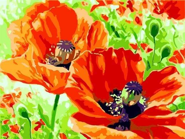 Poppies Paint By Numbers Kit