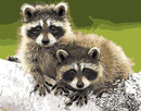 Raccoons Paint By Numbers Kit