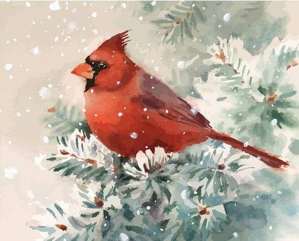 Red Bird and Snow Paint By Numbers Kit