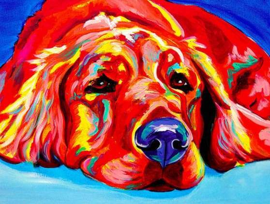 Red Dog lying on the floor Paint By Numbers Kit