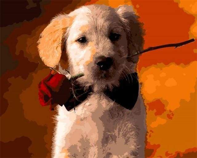 Romantic Dog Paint By Numbers Kit