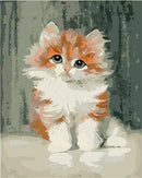 Sad Cat Paint By Numbers Kit
