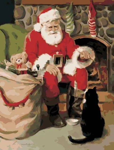 Santa Claus With A Cat Paint By Numbers Kit