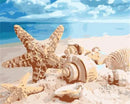 Sea Shells Paint By Numbers Kit