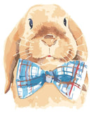 Seems Gentle Paint By Numbers Kit