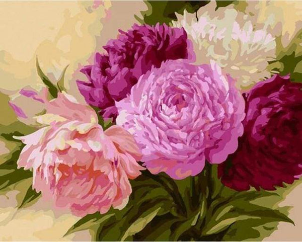 Shades of Rose Paint By Numbers Kit