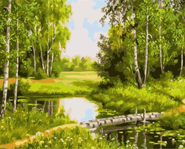 Small Pond and green landscape Paint By Numbers Kit