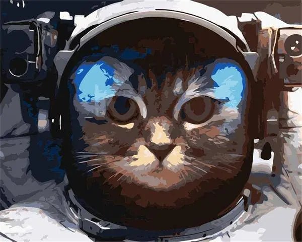 Space Cat Paint By Numbers Kit