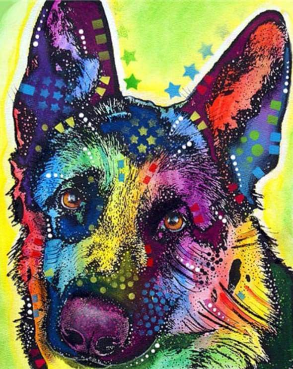 Star Dog Paint By Numbers Kit