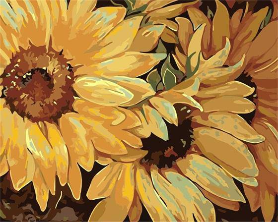 Sun Flowers Paint By Numbers Kit