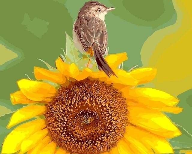 Sunflower and Bird Paint By Numbers Kit