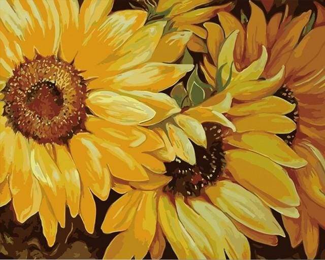 Sunflower In Full Bloom Paint By Numbers Kit